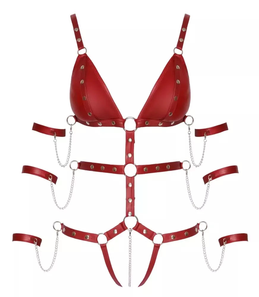 Bad Kitty kėbulo diržai (harness) Red S – reguliuojami dirželiai ir nuimamos grandinėlės