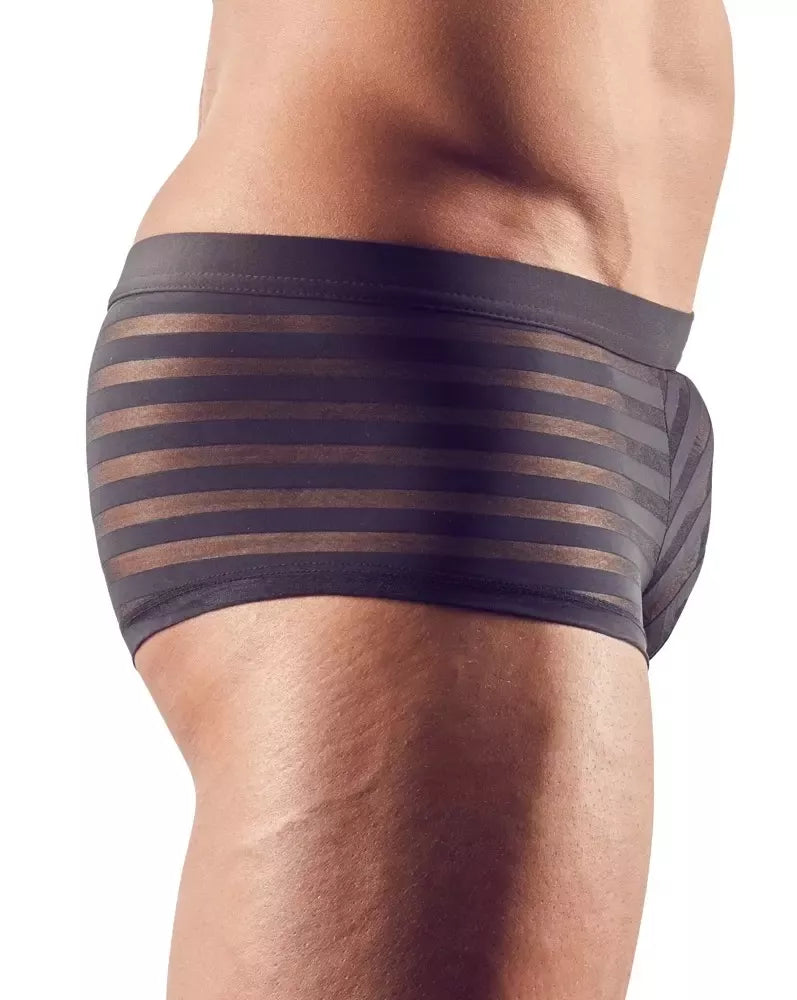 NEK vyriškos kelnaitės 2XL, pusiau permatomas dryžuotas tamprus audinys